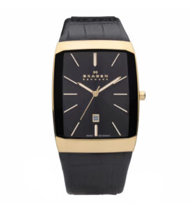 Đồng Hồ Skagen Nam 984LRLB