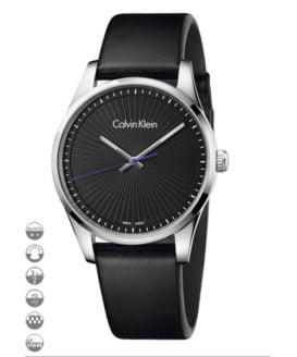 Đồng Hồ Calvin Klein Nam K8S211C1