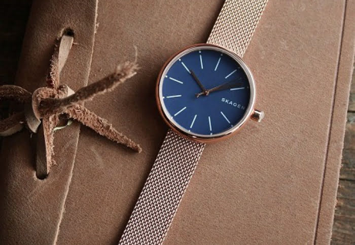 Top 10 mẫu đồng hồ Skagen chính hãng HOT nhất trên thị trường hiện nay 9