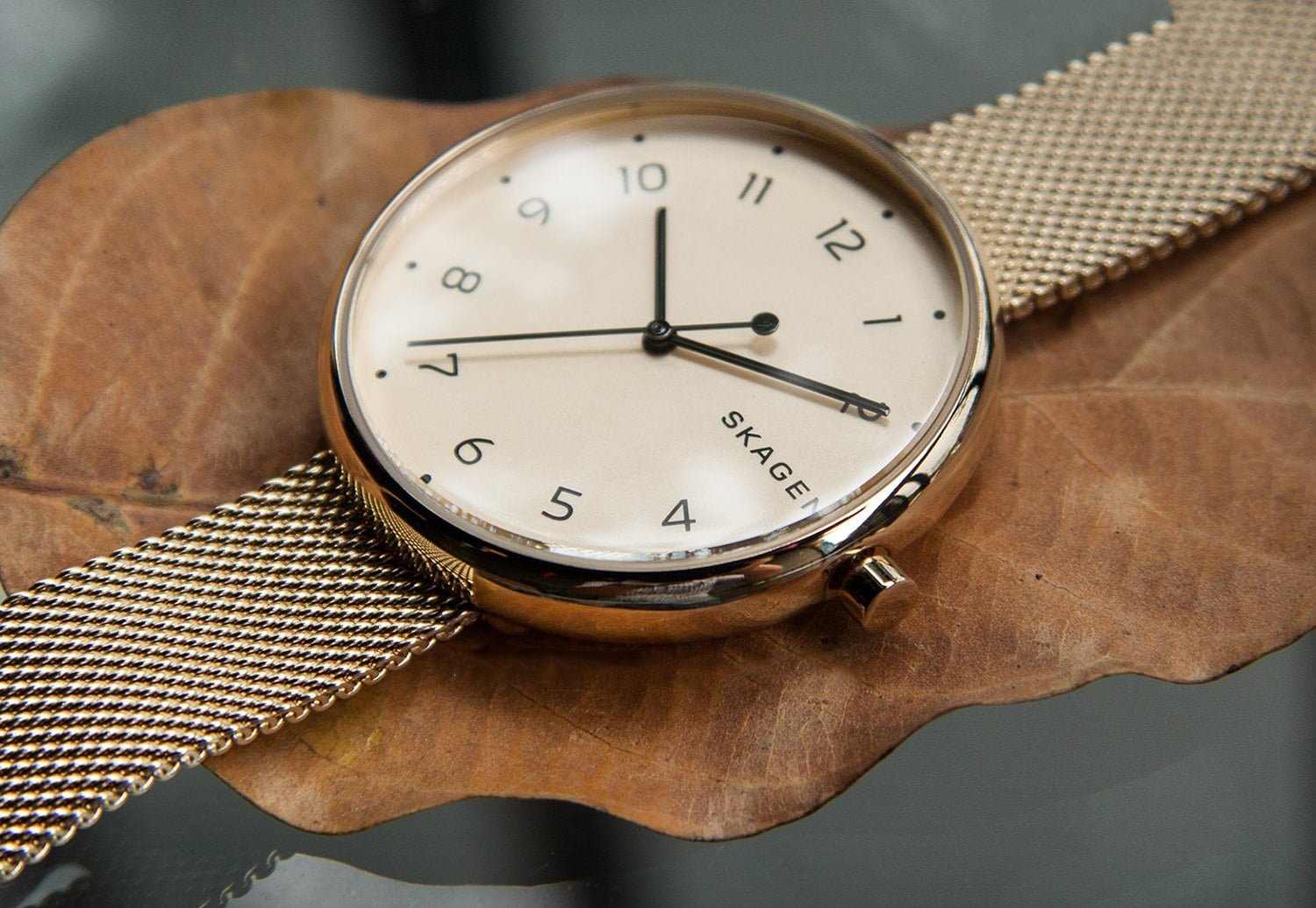 Top 10 mẫu đồng hồ Skagen chính hãng HOT nhất trên thị trường hiện nay 8