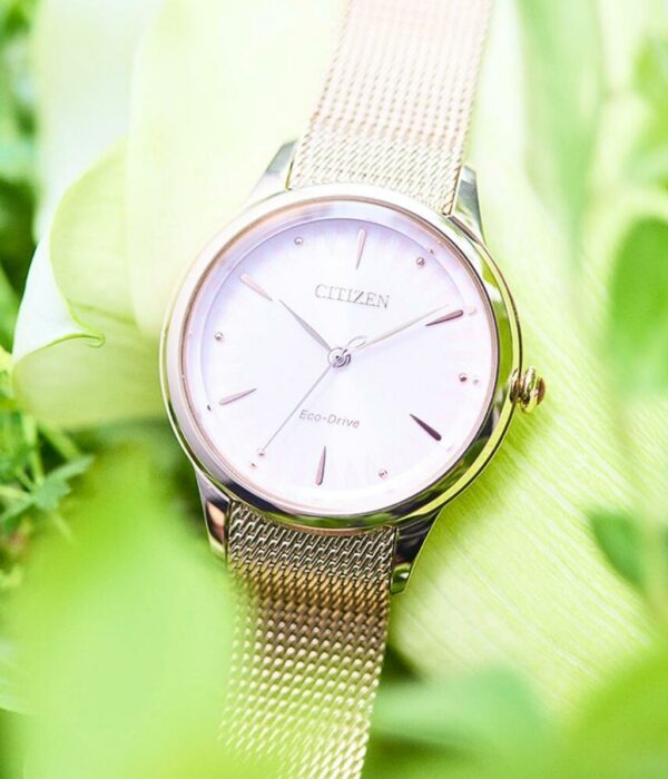 Đồng Hồ Citizen Nữ EM0818-82X 4