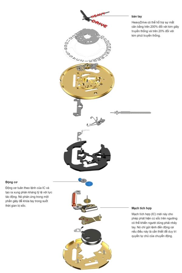ETA HeavyDrive Là Gì? Công Nghệ Chống Sốc Mạnh Mẽ Cho Đồng Hồ Quartz 2