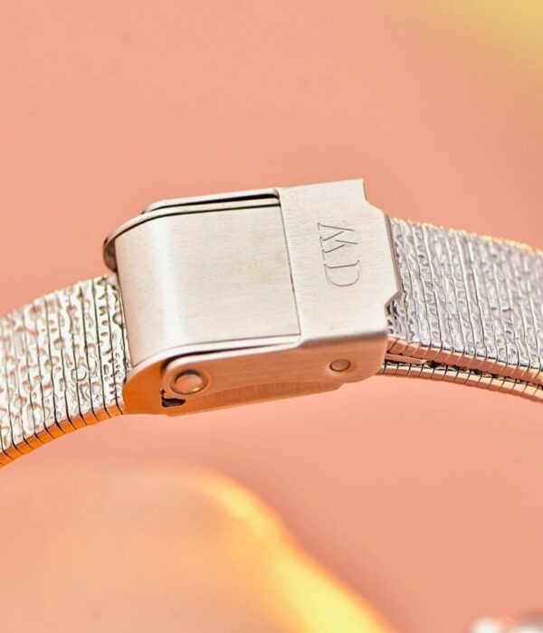Hình ảnh Daniel Wellington Nữ DW00100580