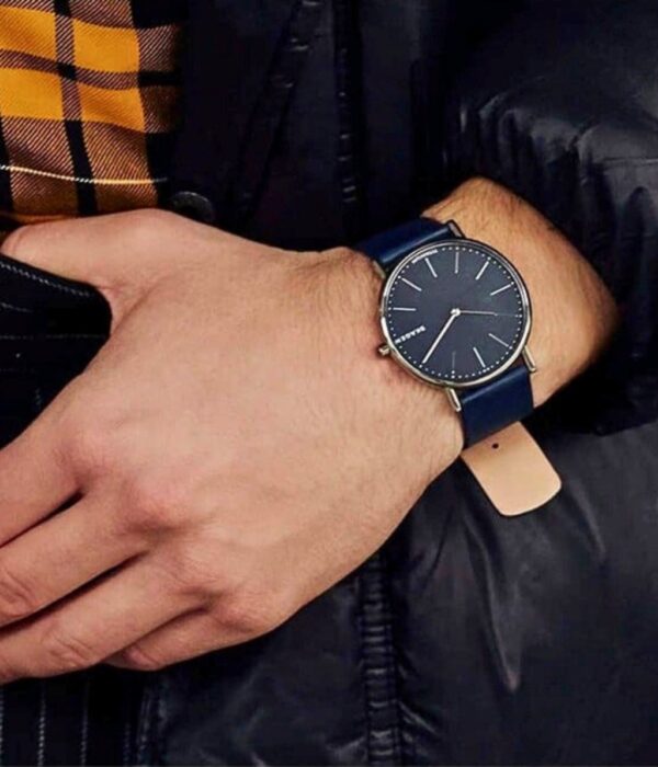 Hình ảnh Skagen Nam SKW6481