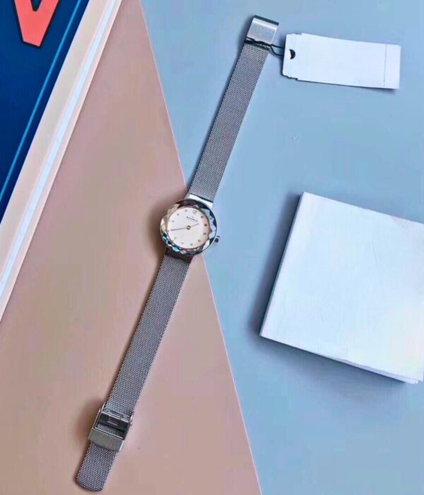 Hình ảnh Skagen Nữ 456SSS