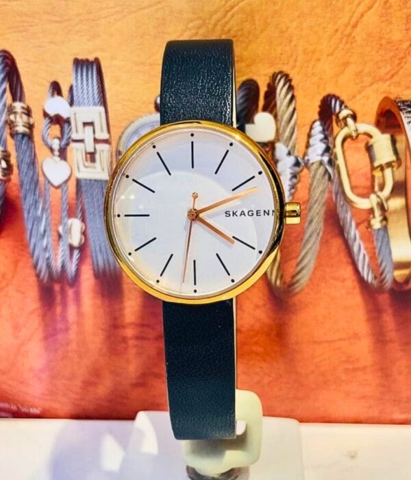 Hình ảnh Skagen Nữ SKW2592
