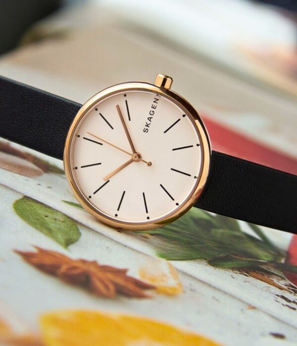 Hình ảnh Skagen Nữ SKW2592