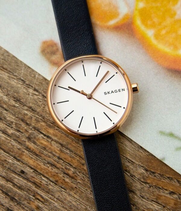 Hình ảnh Skagen Nữ SKW2592