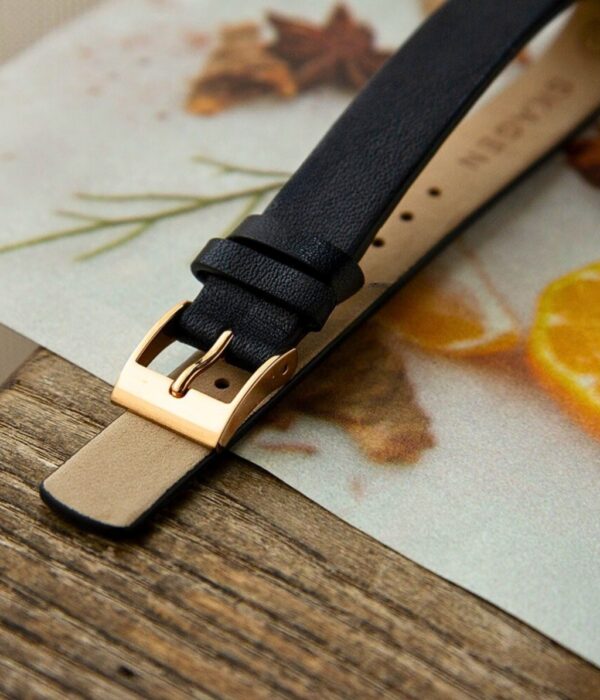 Hình ảnh Skagen Nữ SKW2592