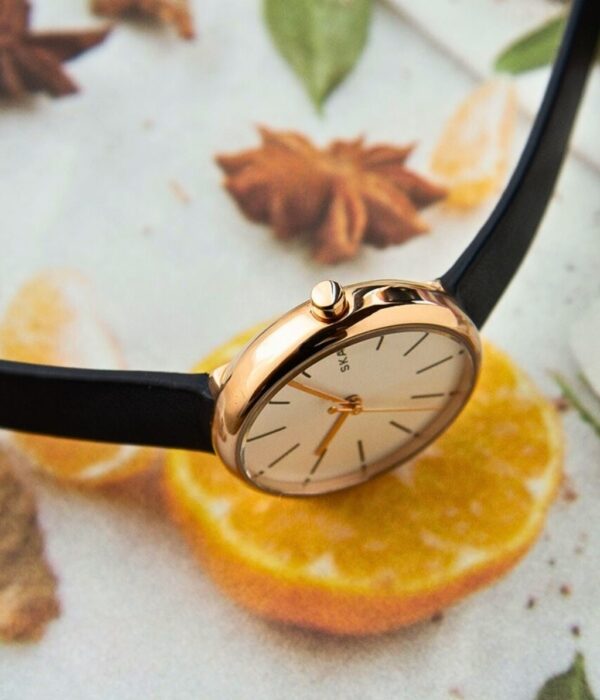 Hình ảnh Skagen Nữ SKW2592