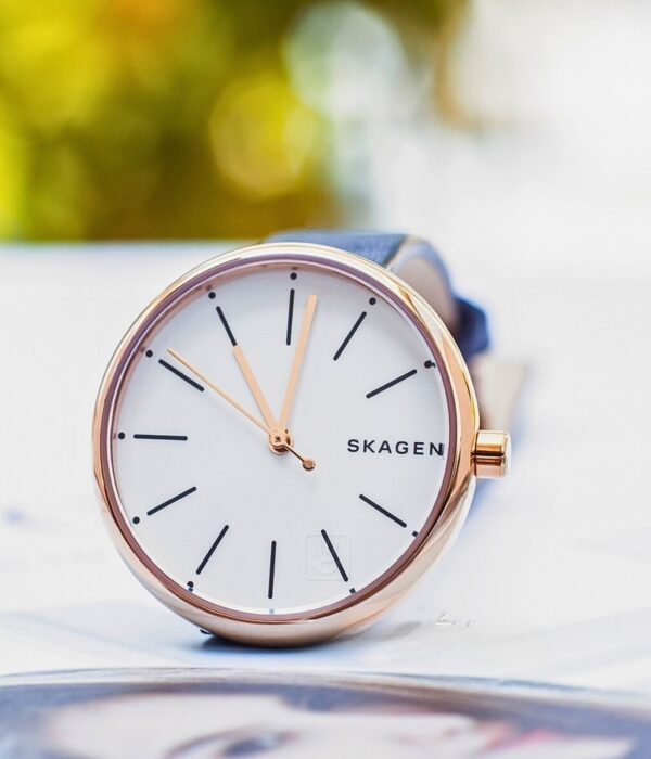 Hình ảnh Skagen Nữ SKW2592