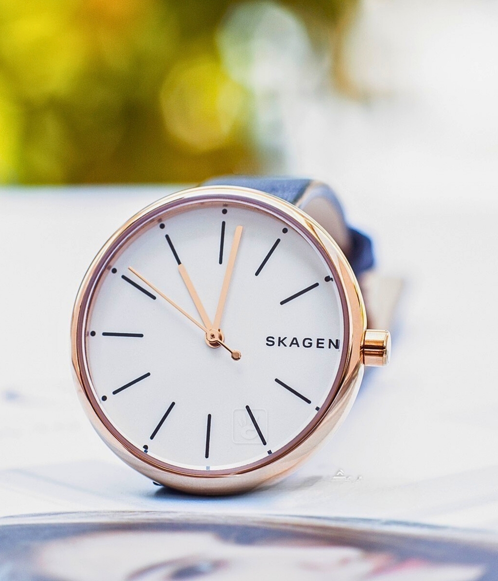 Hình ảnh Skagen Nữ SKW2592
