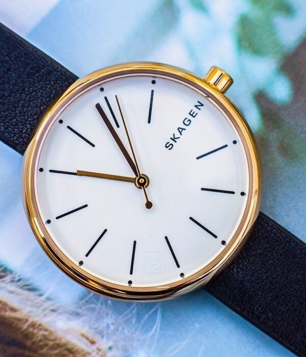 Hình ảnh Skagen Nữ SKW2592