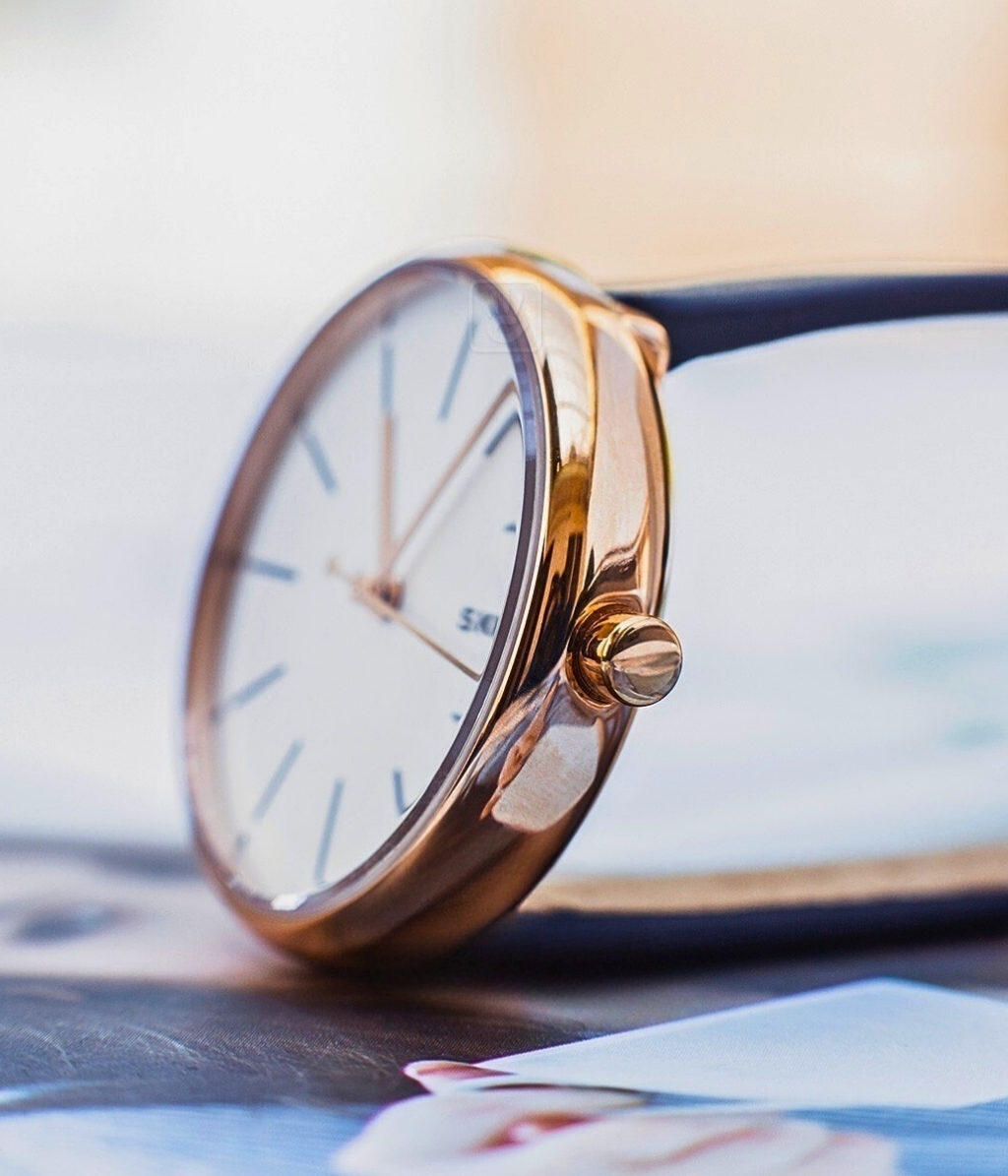 Hình ảnh Skagen Nữ SKW2592