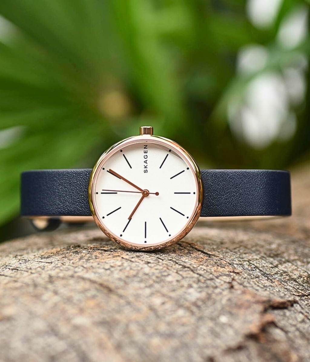 Hình ảnh Skagen Nữ SKW2592