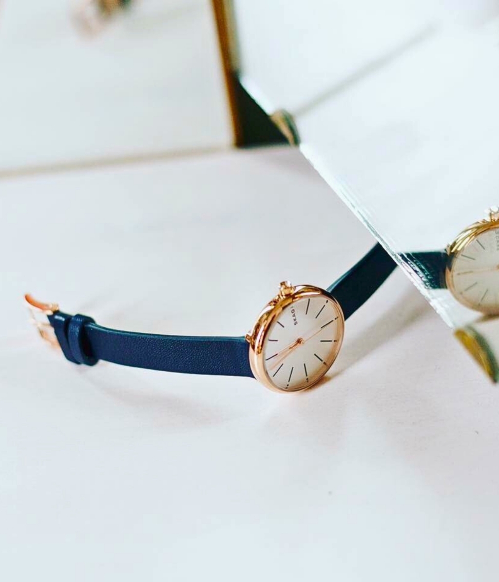 Hình ảnh Skagen Nữ SKW2592