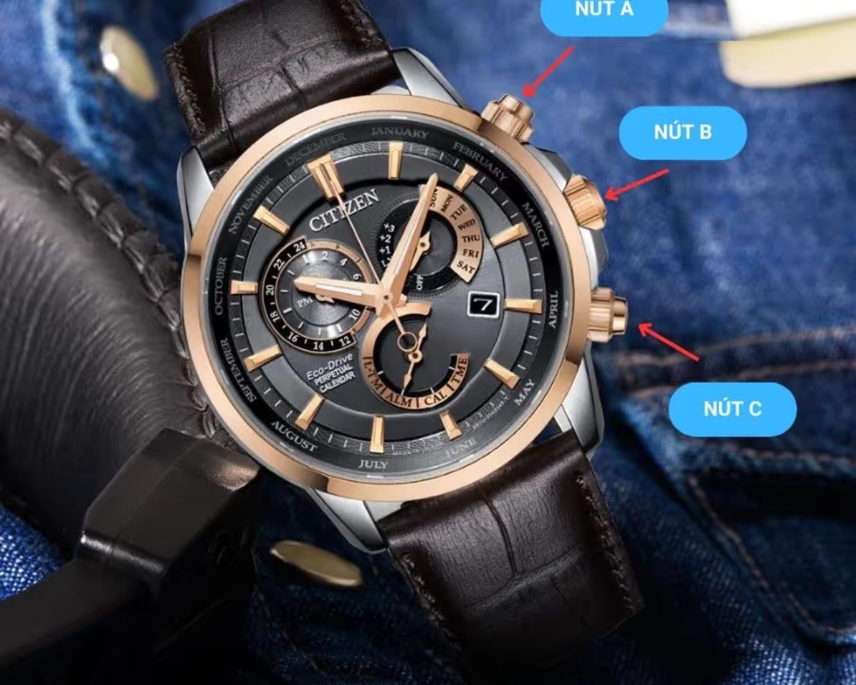 cách chỉnh đồng hồ citizen eco-drive