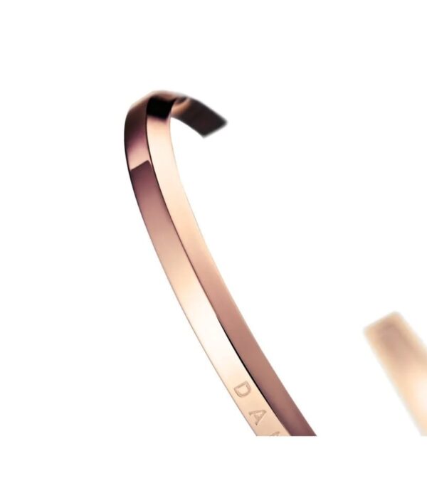 Hình ảnh Daniel Wellington Nữ DW00400001