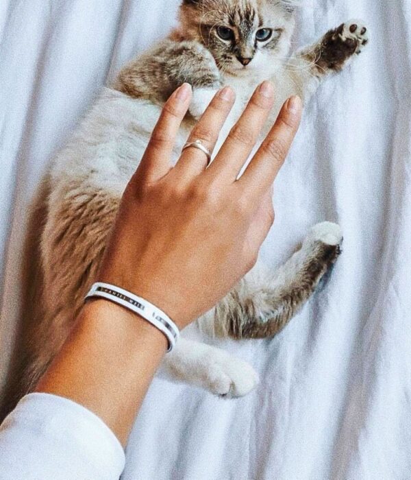 Hình ảnh Daniel Wellington Nữ DW00400008