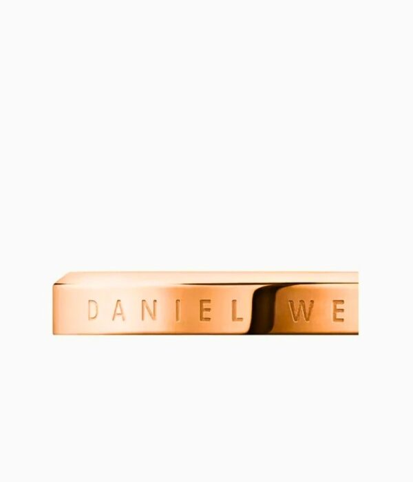 Hình ảnh Daniel Wellington Nữ DW00400015