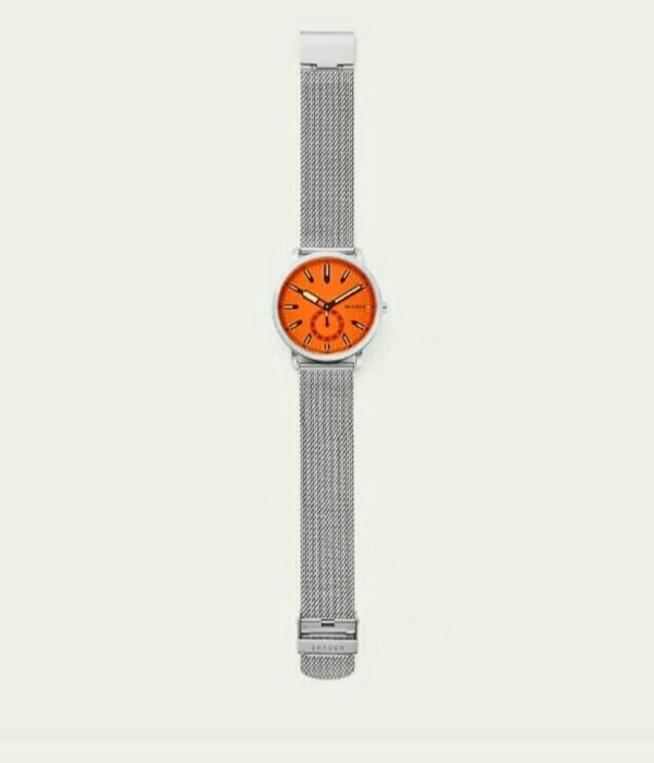 Hình ảnh Skagen Nam SKW6649