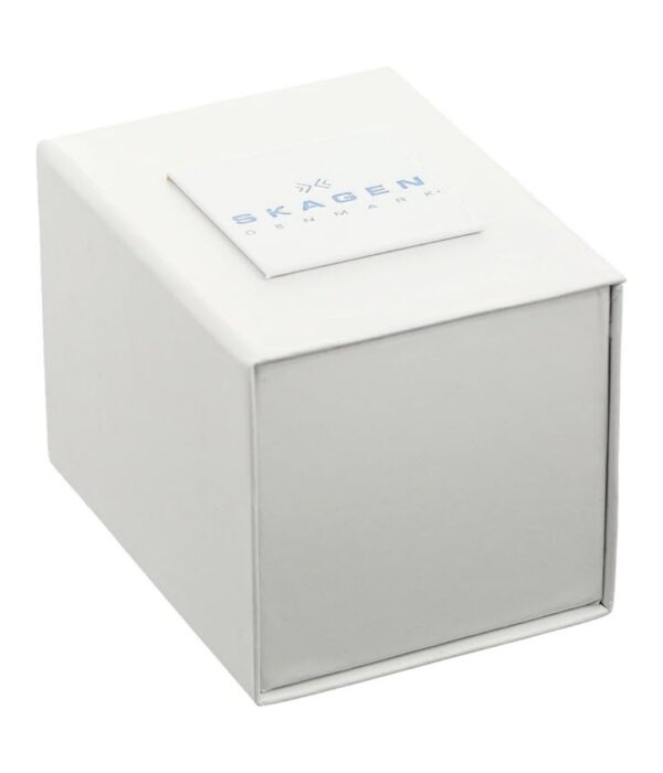 Hình ảnh Skagen Nam SKW6649