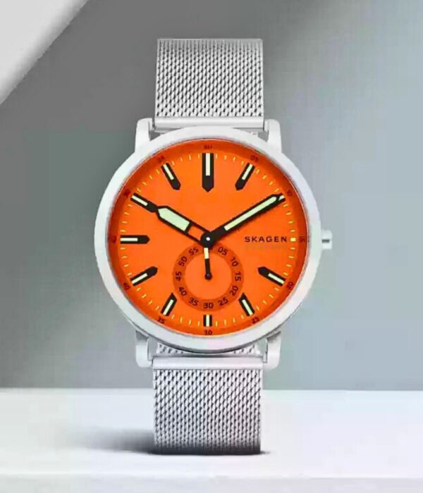 Hình ảnh Skagen Nam SKW6649