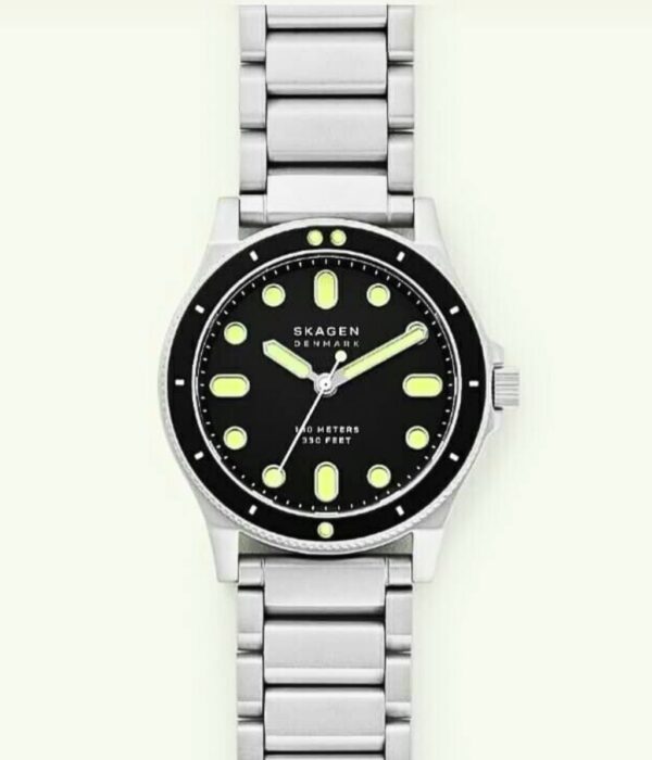 Hình ảnh Skagen Nam SKW6666