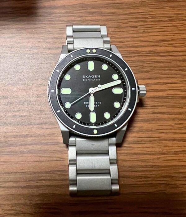 Hình ảnh Skagen Nam SKW6666