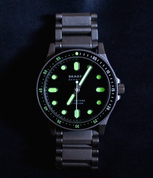 Hình ảnh Skagen Nam SKW6666