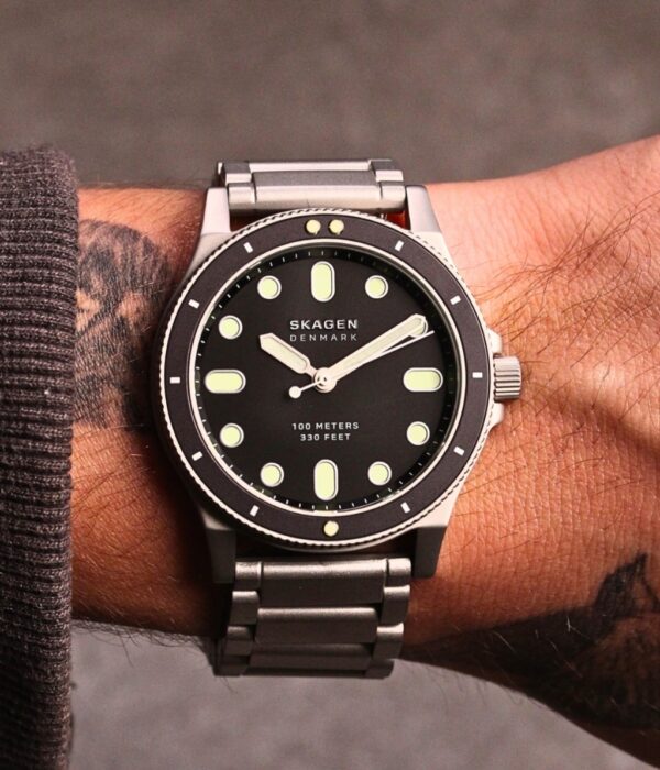 Hình ảnh Skagen Nam SKW6666