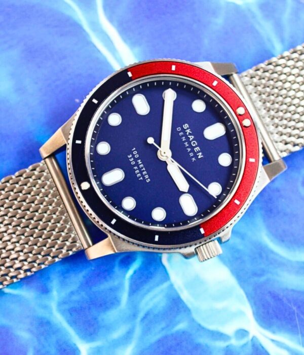 Hình ảnh Skagen Nam SKW6668