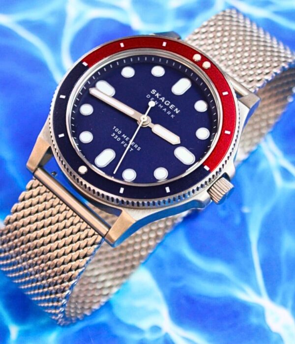Hình ảnh Skagen Nam SKW6668