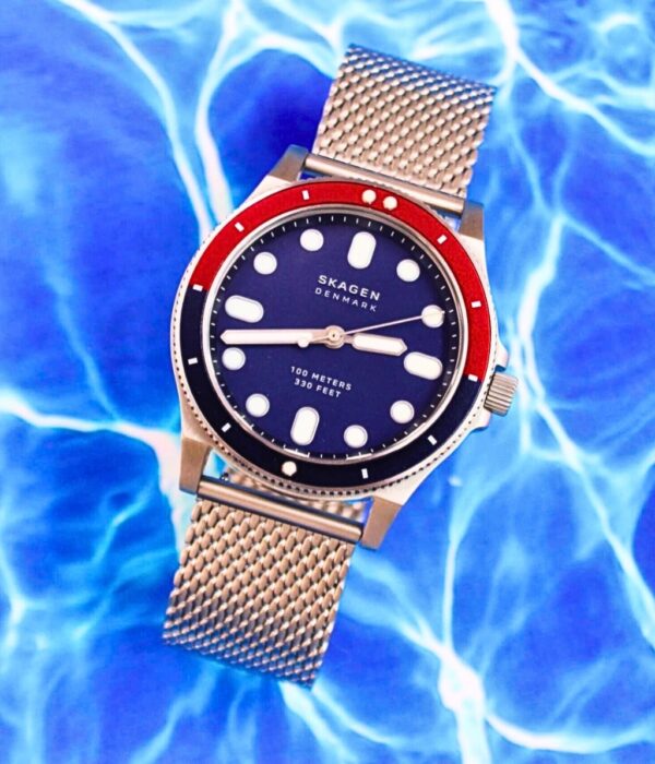 Hình ảnh Skagen Nam SKW6668
