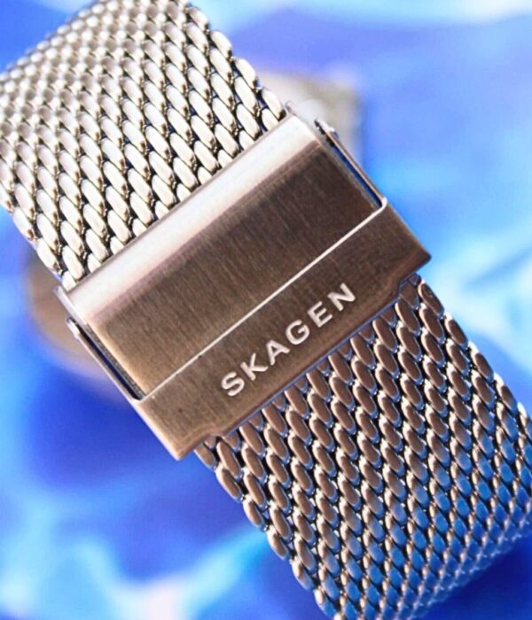 Hình ảnh Skagen Nam SKW6668