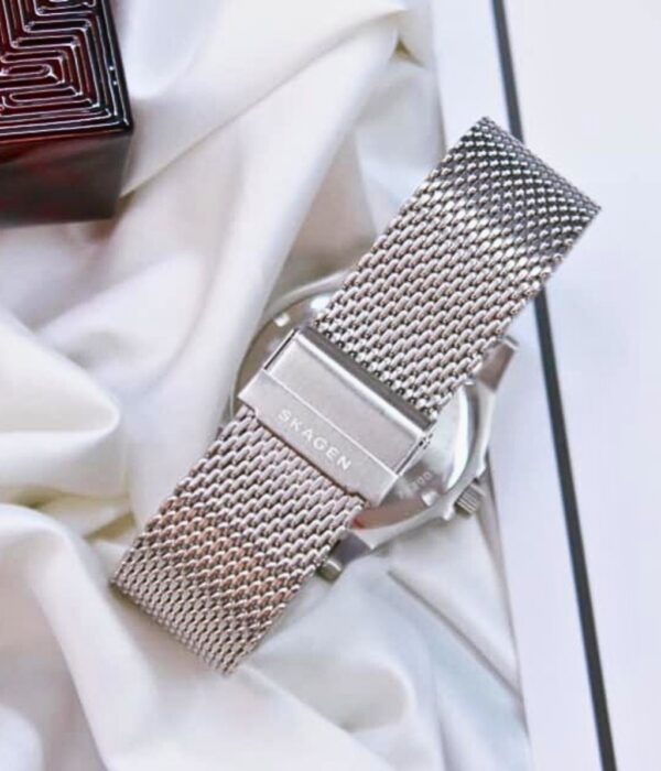 Hình ảnh Skagen Nam SKW6668