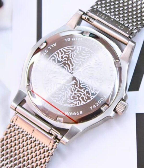 Hình ảnh Skagen Nam SKW6668