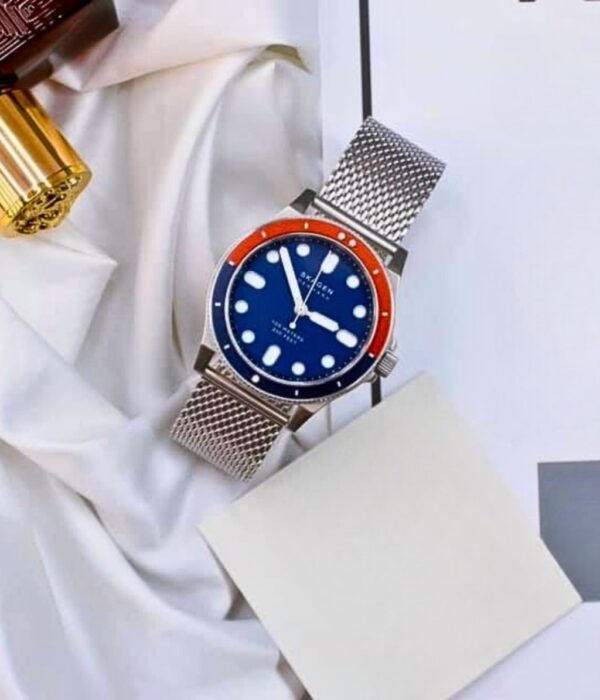 Hình ảnh Skagen Nam SKW6668