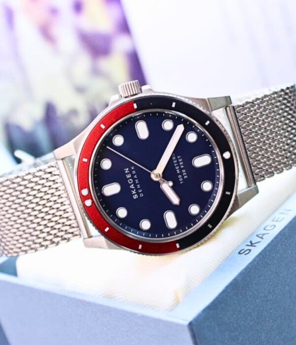 Hình ảnh Skagen Nam SKW6668