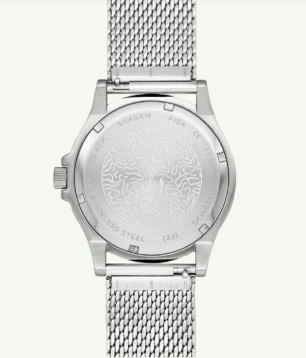 Hình ảnh Skagen Nam SKW6668