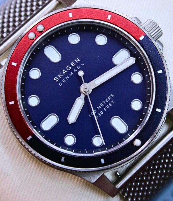 Hình ảnh Skagen Nam SKW6668
