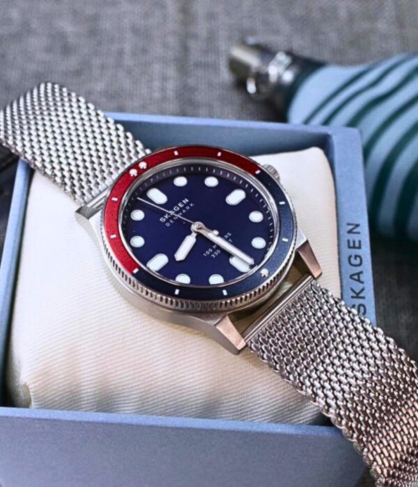 Hình ảnh Skagen Nam SKW6668