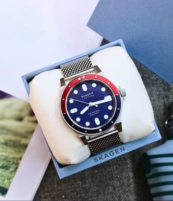 Hình ảnh Skagen Nam SKW6668