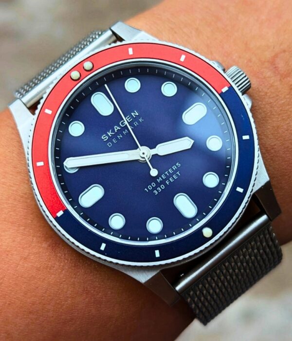 Hình ảnh Skagen Nam SKW6668