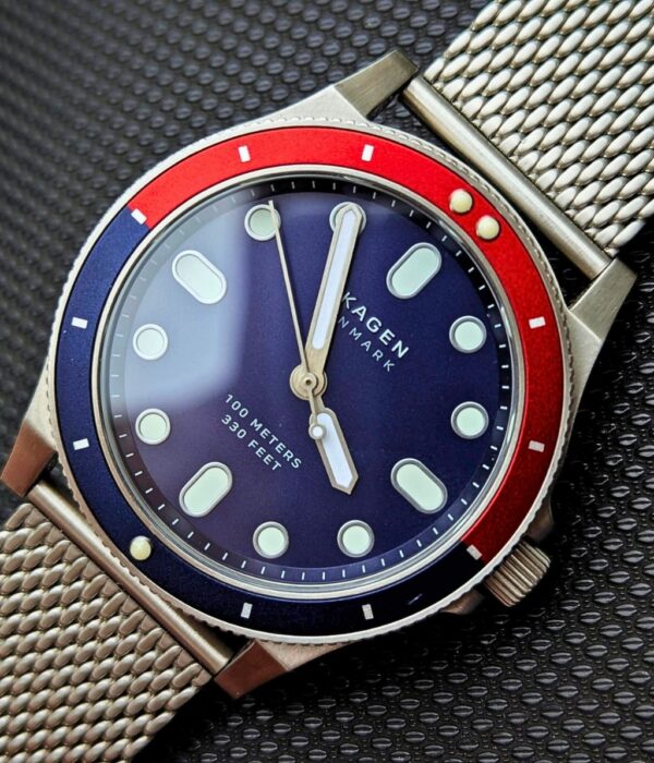 Hình ảnh Skagen Nam SKW6668