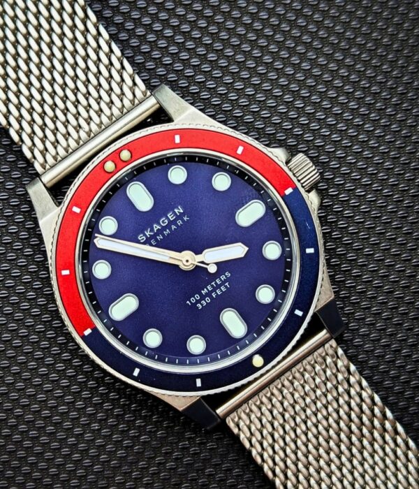 Hình ảnh Skagen Nam SKW6668