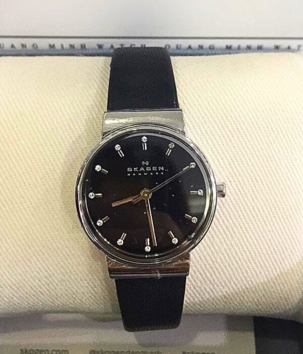 Hình ảnh Skagen Nữ SKW2193