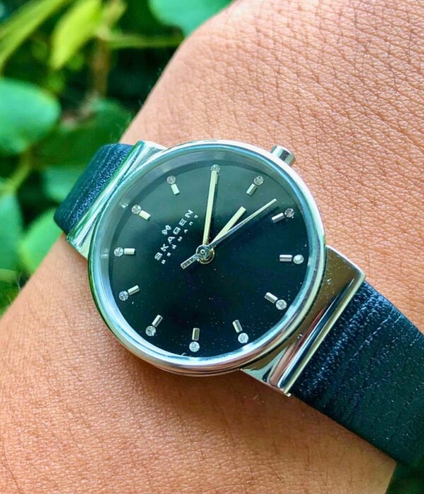 Hình ảnh Skagen Nữ SKW2193