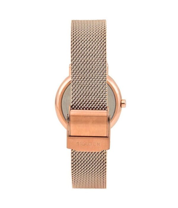 Hình ảnh Skagen Nữ SKW2694