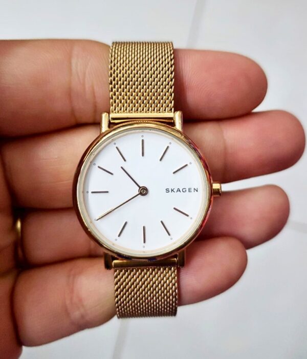 Hình ảnh Skagen Nữ SKW2694